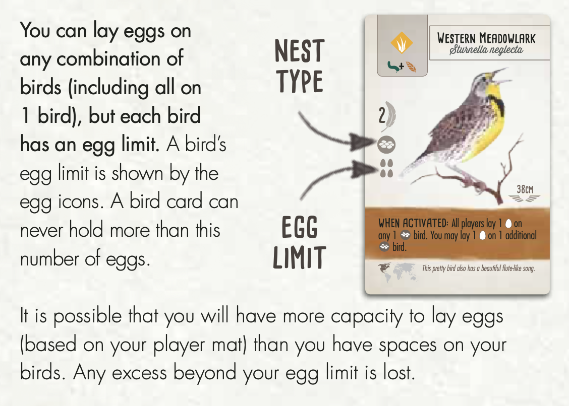 Step 1 description diagram